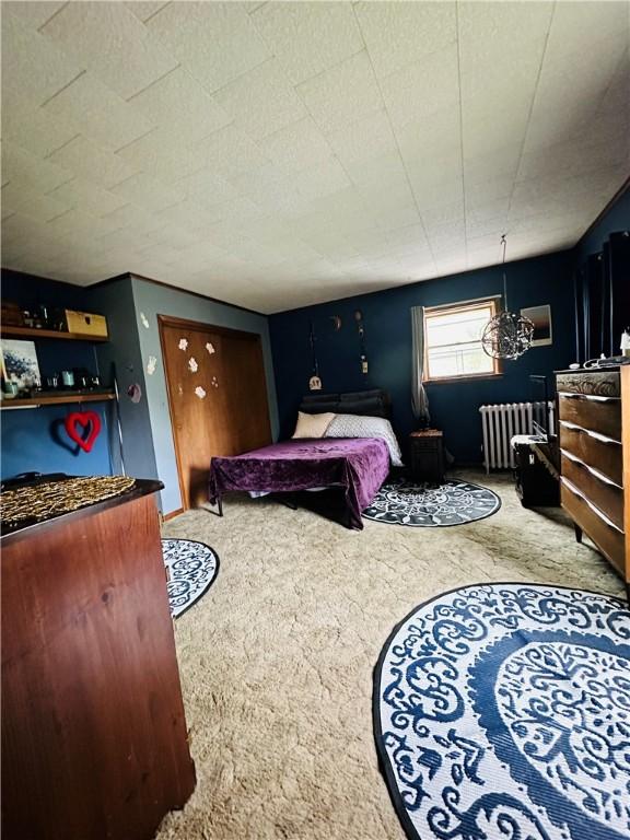 121 E William St, Bath, NY 14810 - bedroom with radiator heating unit and carpet floors