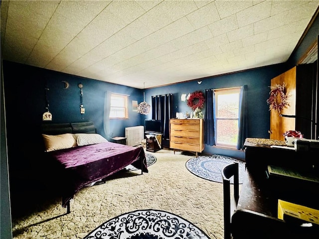 121 E William St, Bath, NY 14810 - view of carpeted bedroom