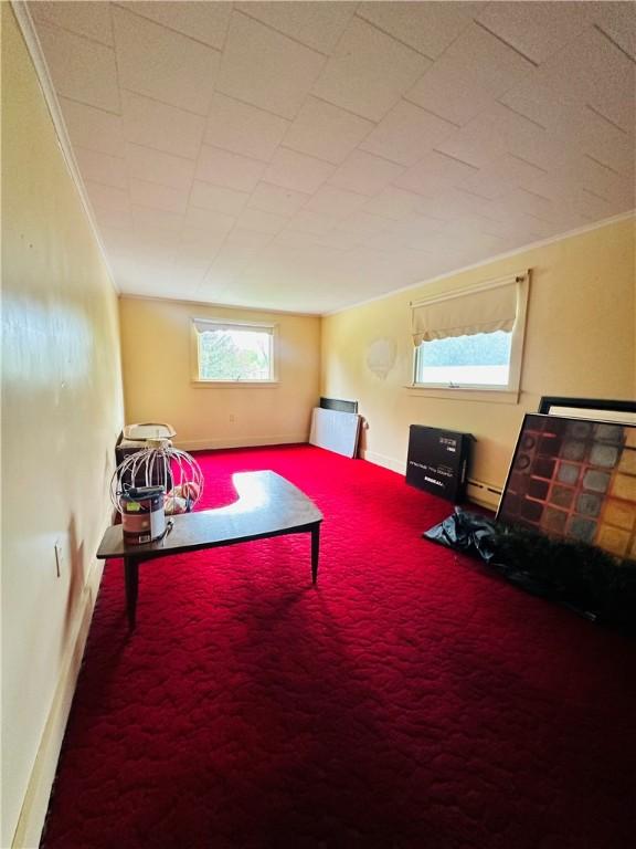 121 E William St, Bath, NY 14810 - sitting room with a baseboard radiator, ornamental molding, carpet, and baseboards