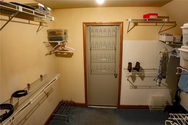 walk in closet with carpet flooring