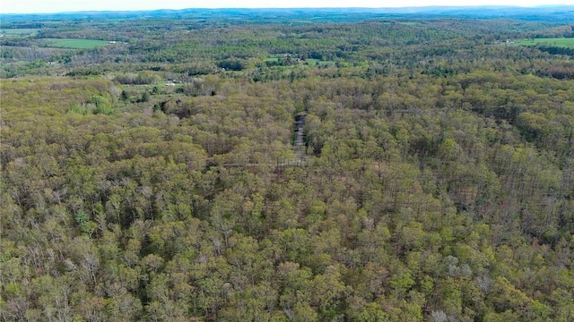 10400 Fox Ridge Rd, Corning, NY 14830 - aerial view of property and surrounding area with a heavily wooded area