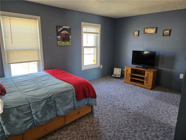 105 Wadsworth Ave, Avon, NY 14414 - photo 39