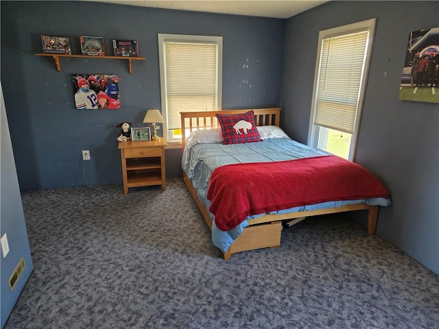 105 Wadsworth Ave, Avon, NY 14414 - photo 37