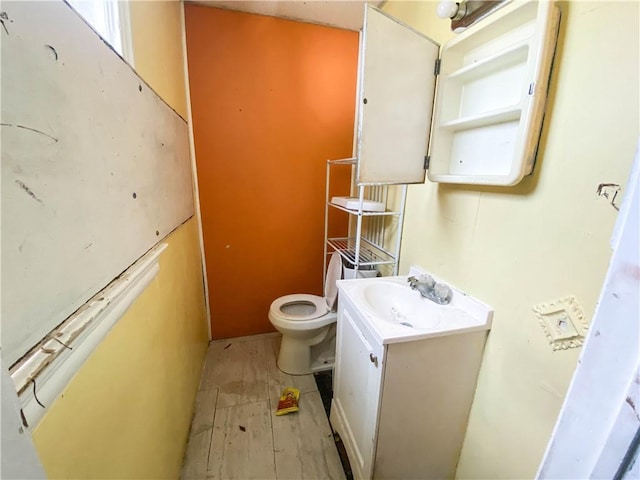 bathroom with toilet and vanity