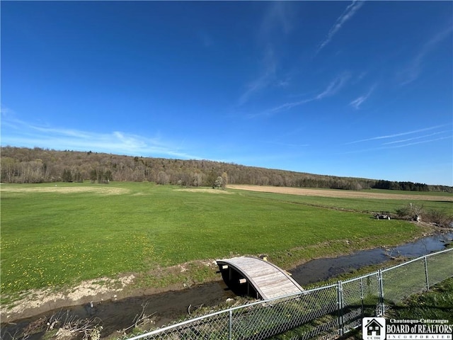 9642 S Dayton Silver Creek Rd, Villenova, NY 14062 - view of yard with a rural view and fence
