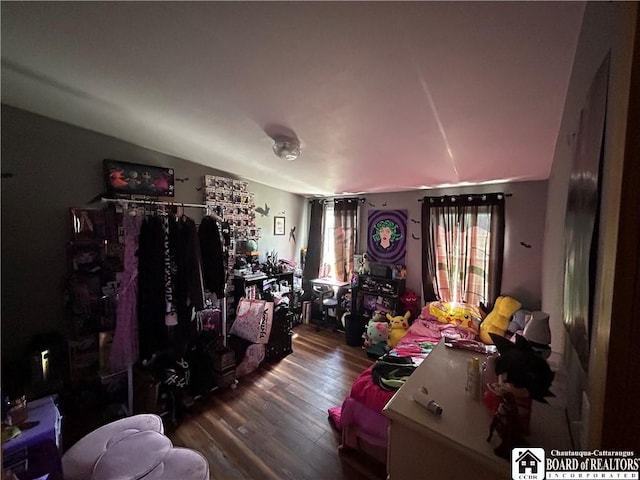 9642 S Dayton Silver Creek Rd, Villenova, NY 14062 - bedroom featuring wood finished floors and lofted ceiling