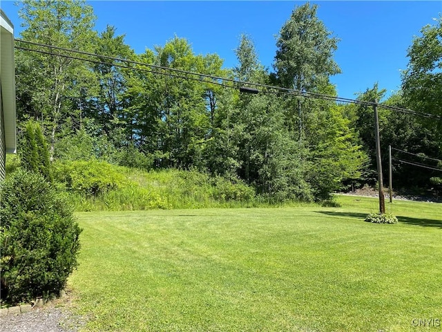 view of yard