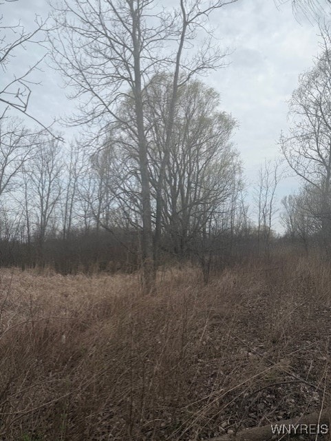 Mapleton Rd, Wheatfield, NY 14120