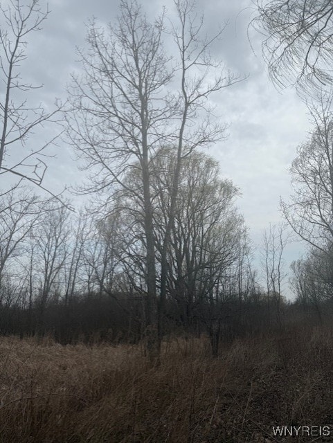 Mapleton Rd, Wheatfield, NY 14120