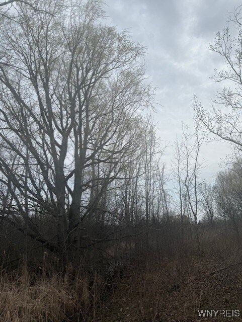 Mapleton Rd, Wheatfield, NY 14120