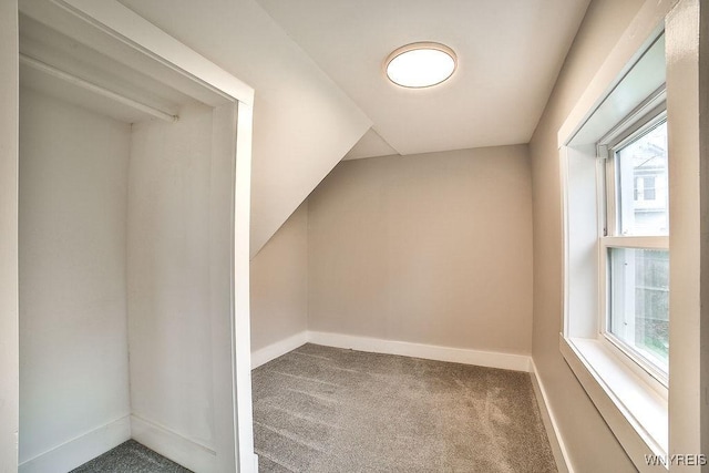 bonus room featuring carpet flooring and baseboards