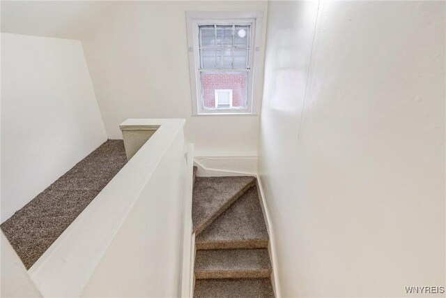 321 Eggert Rd, Cheektowaga, NY 14215 - staircase featuring carpet flooring