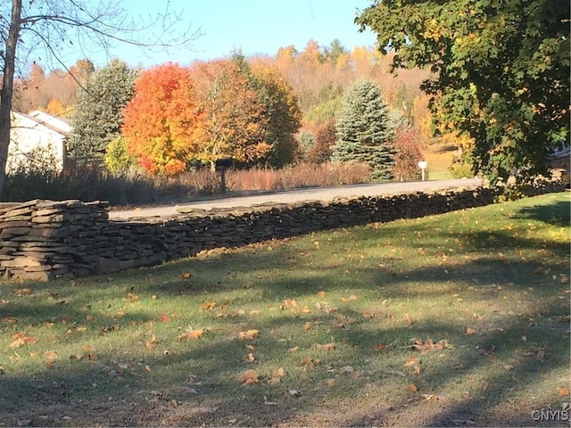 139 Riverview Rd, Middleburgh, NY 12157 - photo 37