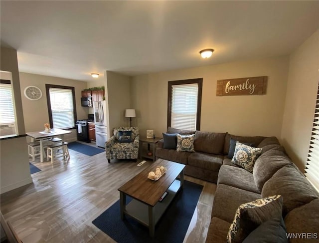 living room with wood finished floors