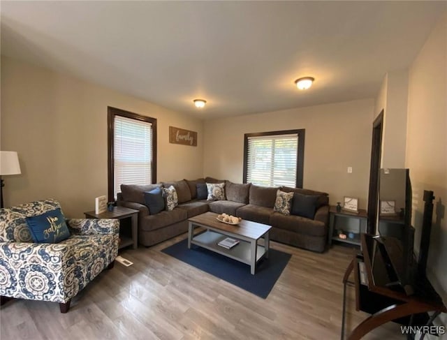 living room featuring light wood finished floors