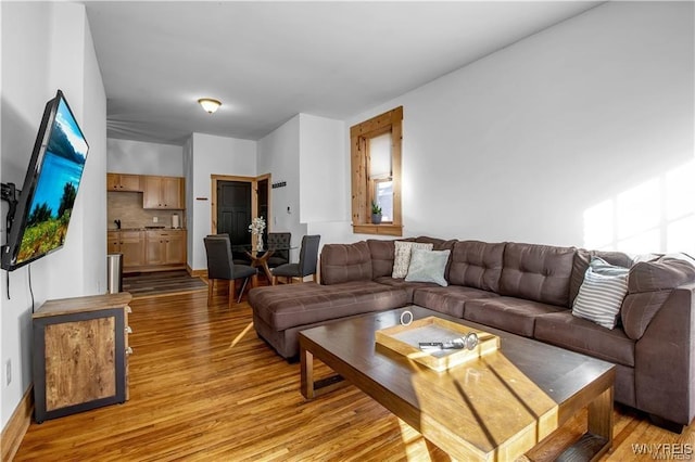 58 Park St, Buffalo, NY 14201 - living area featuring light wood finished floors