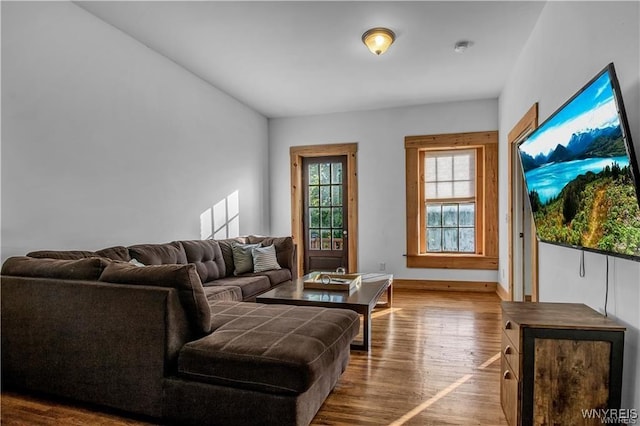 58 Park St, Buffalo, NY 14201 - living room with wood finished floors and baseboards