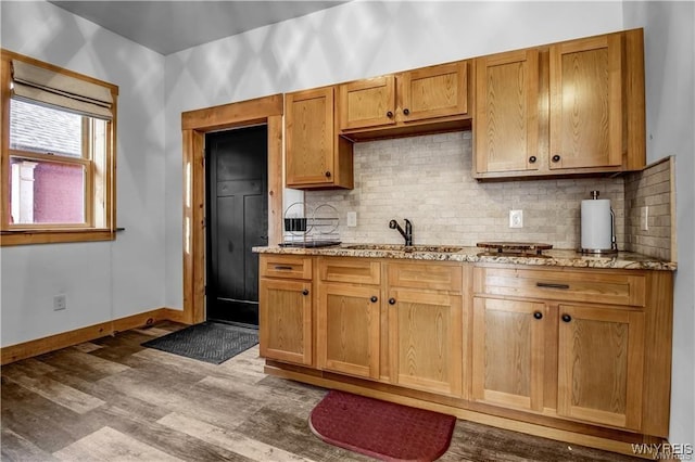 58 Park St, Buffalo, NY 14201 - kitchen with wood finished floors, a sink, tasteful backsplash, and light stone countertops