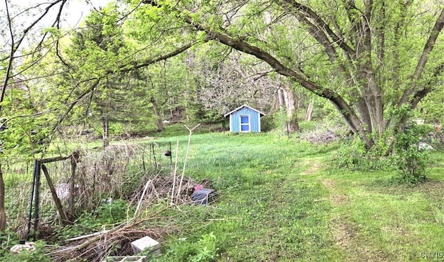 107 Mill St, Elbridge, NY 13060 - view of yard with a wooded view, an outbuilding, and a storage unit