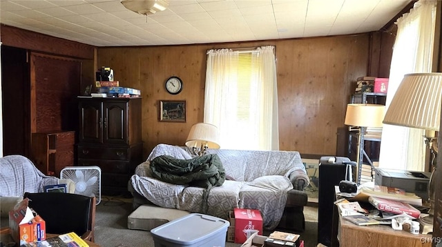 107 Mill St, Elbridge, NY 13060 - living room featuring wooden walls and carpet