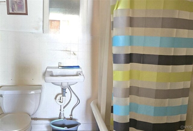 107 Mill St, Elbridge, NY 13060 - full bathroom featuring toilet and a shower with shower curtain