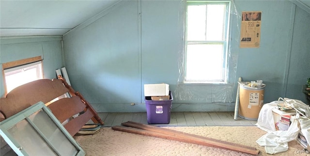 107 Mill St, Elbridge, NY 13060 - additional living space with wood finished floors and lofted ceiling