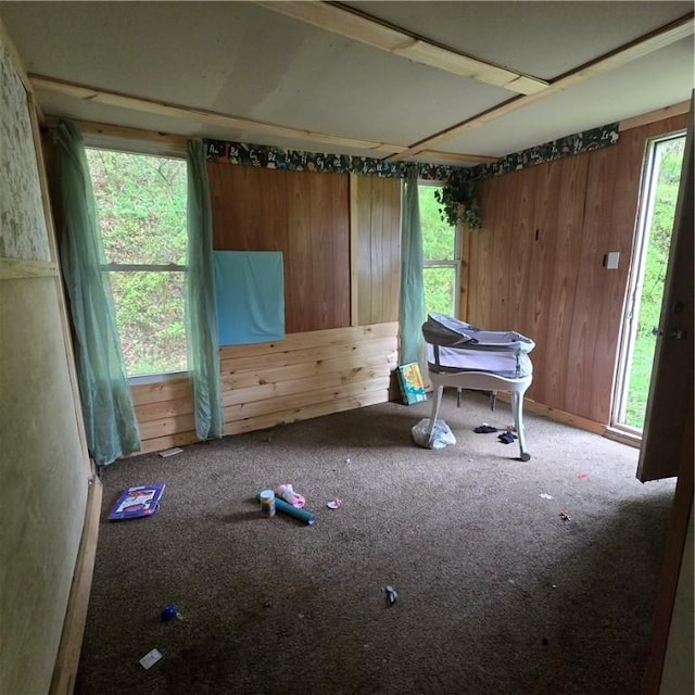 1570 Pennsylvania Ave, Southport, NY 14871 - interior space with carpet flooring and wood walls