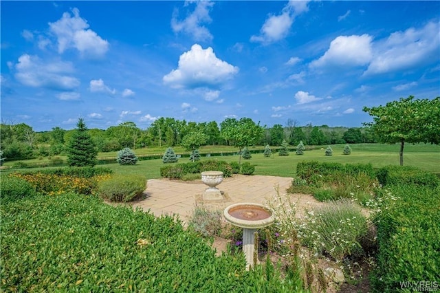 surrounding community with a lawn