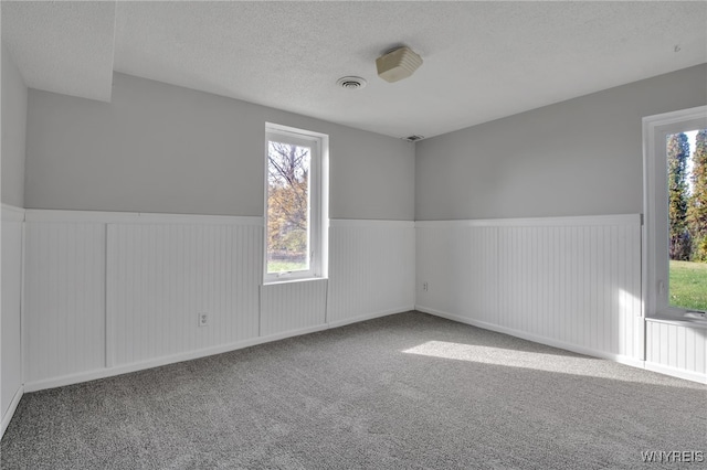 7606 Wohlhueter Rd, Boston, NY 14033 - carpeted empty room with wainscoting, a textured ceiling, and plenty of natural light