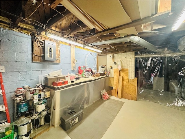 unfinished below grade area featuring electric panel