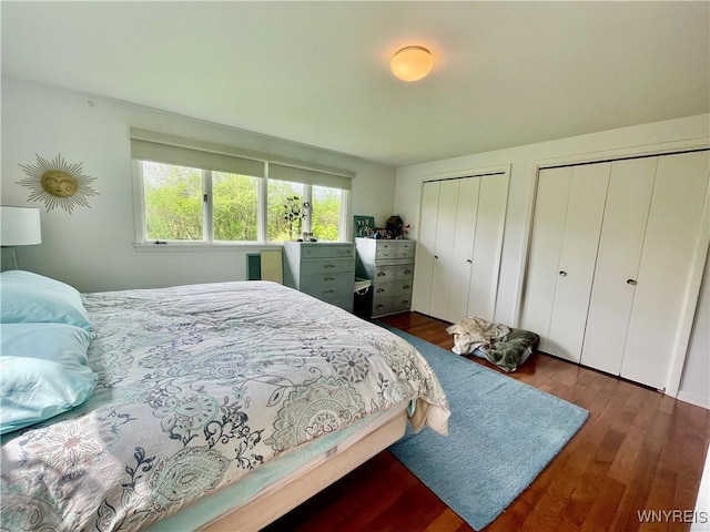 bedroom featuring multiple closets and dark wood-style floors