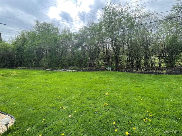 view of yard