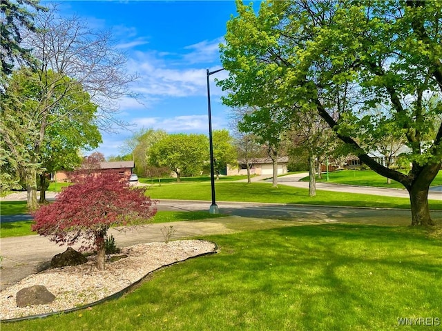 view of property's community featuring a yard