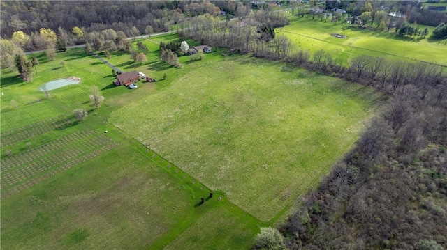 883 Savage Rd, Riga, NY 14428 - photo 7