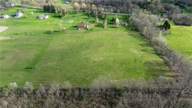 883 Savage Rd, Riga, NY 14428 - photo 8