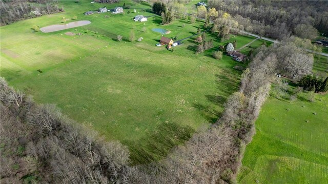883 Savage Rd, Riga, NY 14428 - photo 9