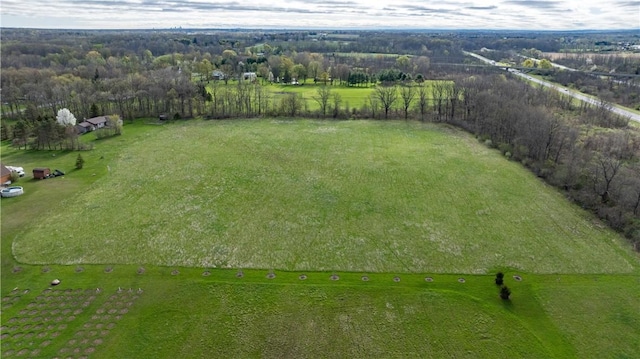 883 Savage Rd, Riga, NY 14428 - photo 12