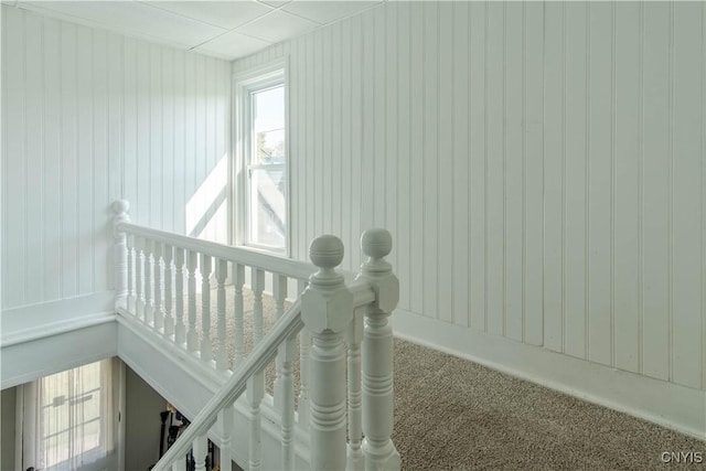 room details with carpet flooring