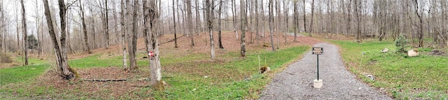2465 Pleasant Rd, Eaton, NY 13334