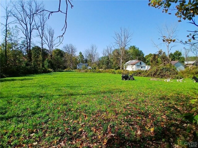 7484 Lake St, Vienna, NY 13042 - view of yard