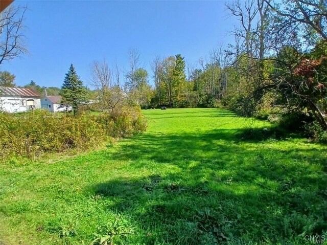 7484 Lake St, Vienna, NY 13042 - view of yard