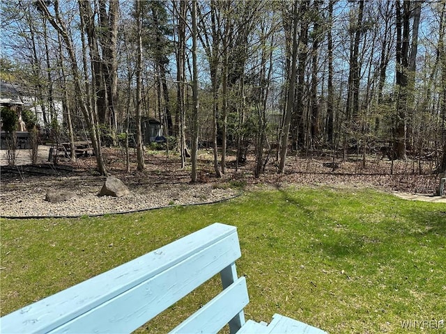 view of yard