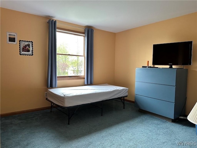 bedroom featuring baseboards and carpet