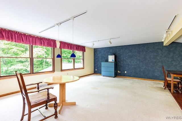 103 Old Orchard Ln, Orchard Park, NY 14127 - dining area featuring track lighting, baseboards, wallpapered walls, and carpet