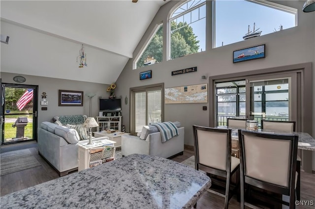 44458 County Route 100, Alexandria, NY 13640 - dining space with high vaulted ceiling, plenty of natural light, and dark wood-type flooring