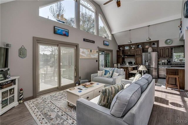 44458 County Route 100, Alexandria, NY 13640 - living room with baseboards, high vaulted ceiling, a ceiling fan, and wood finished floors