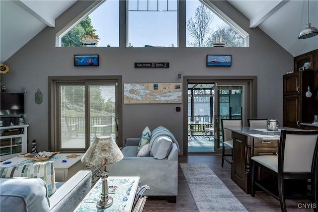 44458 County Route 100, Alexandria, NY 13640 - living area featuring beam ceiling, dark wood-style floors, and high vaulted ceiling