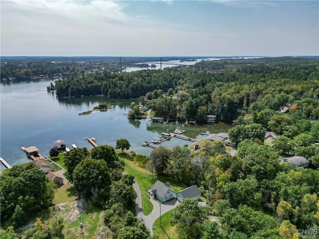 44458 County Route 100, Alexandria, NY 13640 - drone / aerial view with a water view and a view of trees