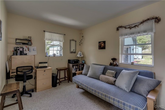 44458 County Route 100, Alexandria, NY 13640 - office area featuring light carpet