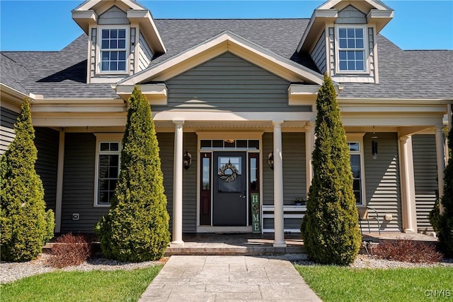 doorway to property with a shingled roof and covered porch